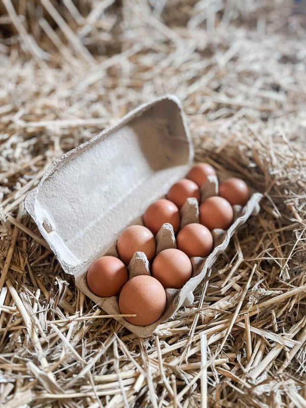 Doos eieren