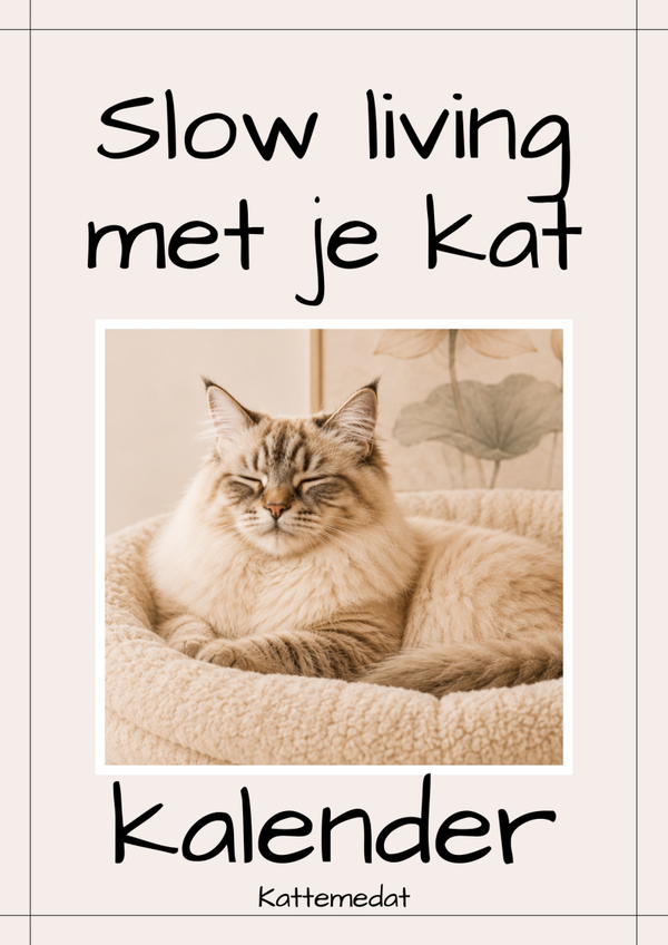 Slow living met je kat kalender