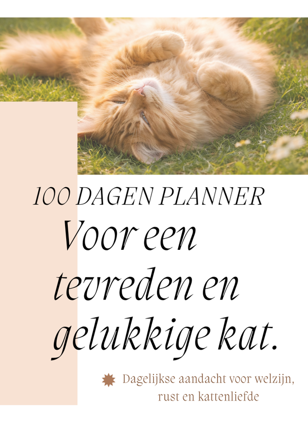 100 dagen planner + werkboek - voor een tevreden en gelukkige kat.