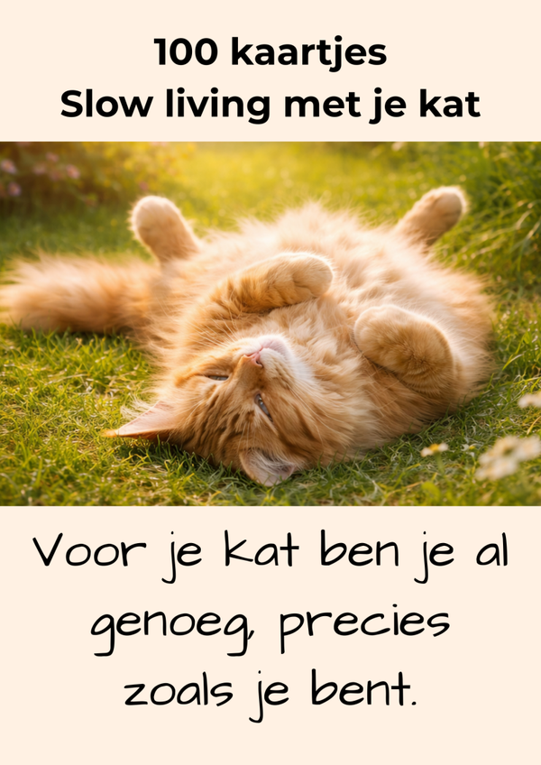 100 kaartjes slow living met je kat