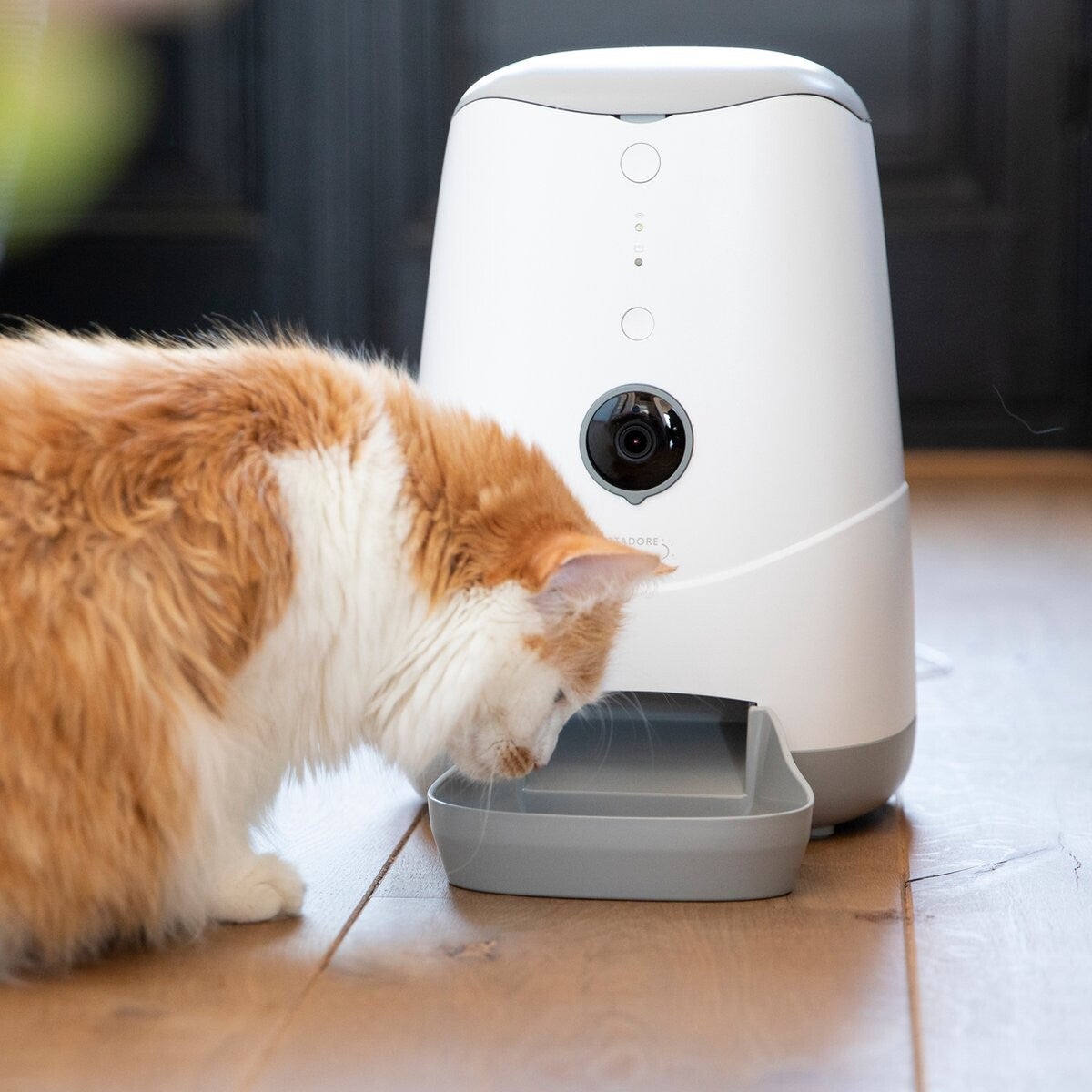 Automatische Voerbak Kat CYBERMIAM: Innovatief en Aangesloten Kattenvoerbakje | Intelligente Automatische Kattenvoerautomaat