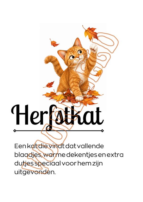 Herfstkat