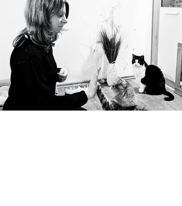 Seminar "per Click zum Glück"