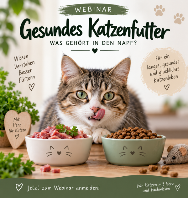 Webinar "Gesundes Katzenfutter  was gehört in den Napf?"