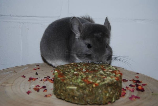 Gâteau de foin avec carottes et petits pois