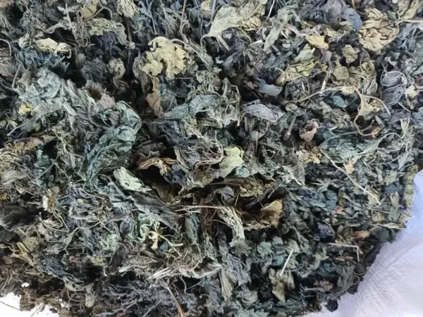 Gedroogde brandnetelbladeren - 90 of 250 gram - DONATIE