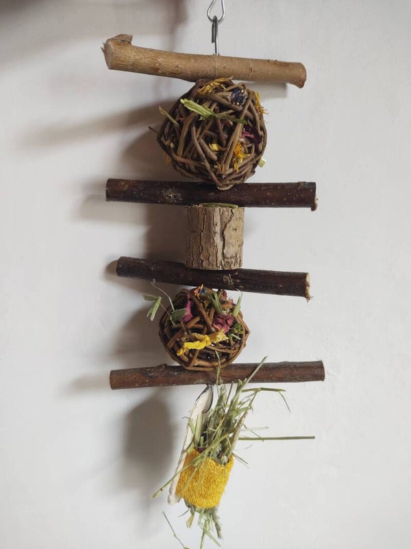 Zomerspeeltje C (2023)