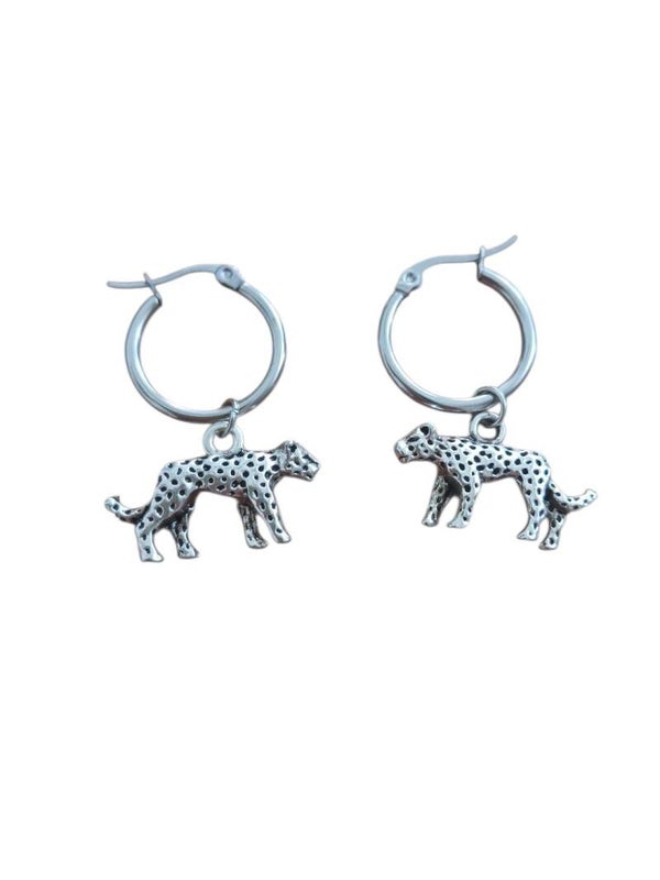Leopards