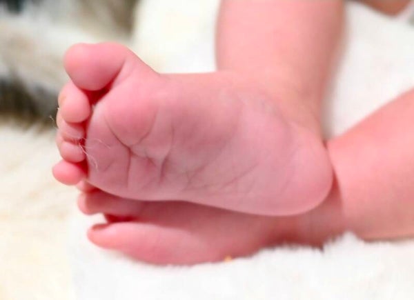 Maternity / Newborn – $240