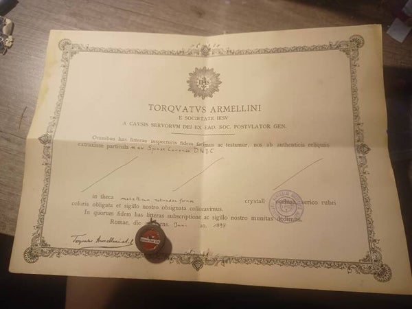 Spinea corona DNJC thorn of the crown of jesus