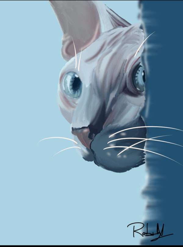 Digital art Naked Cat