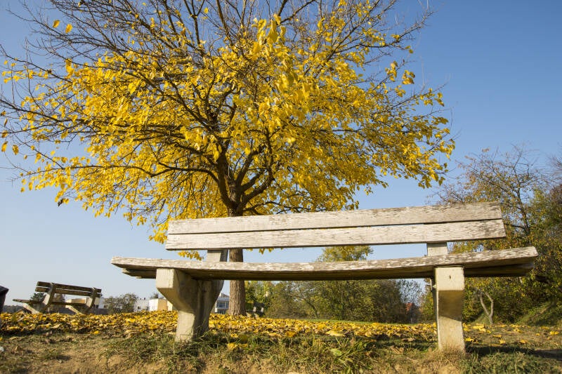 Frühling am Ertlberg