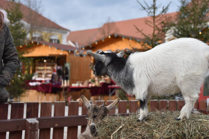 Weihnachtsmarkt