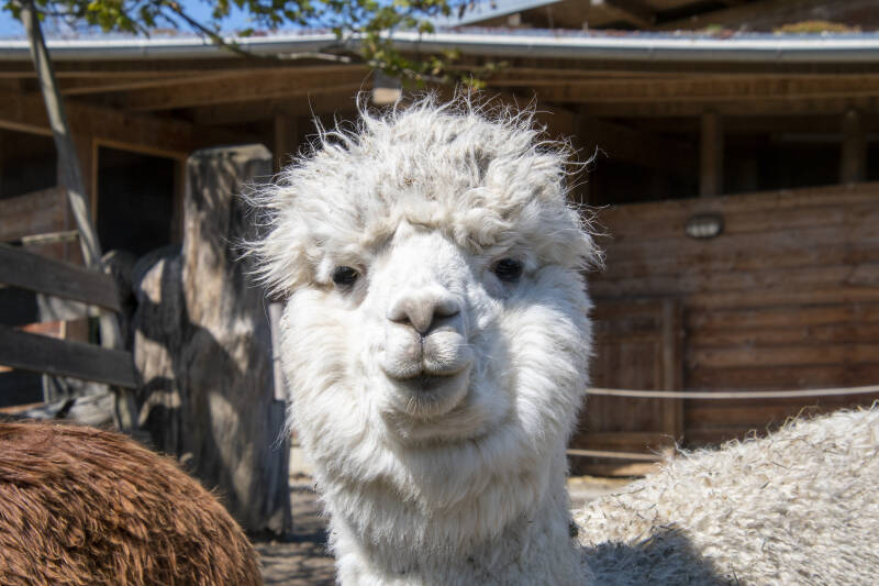 Zotter Essbarer Tiergarten