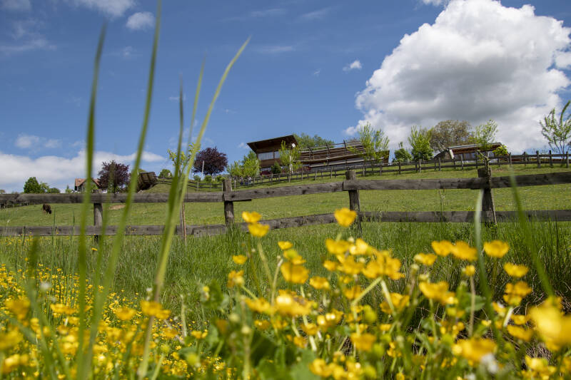 Zotter Essbarer Tiergarten
