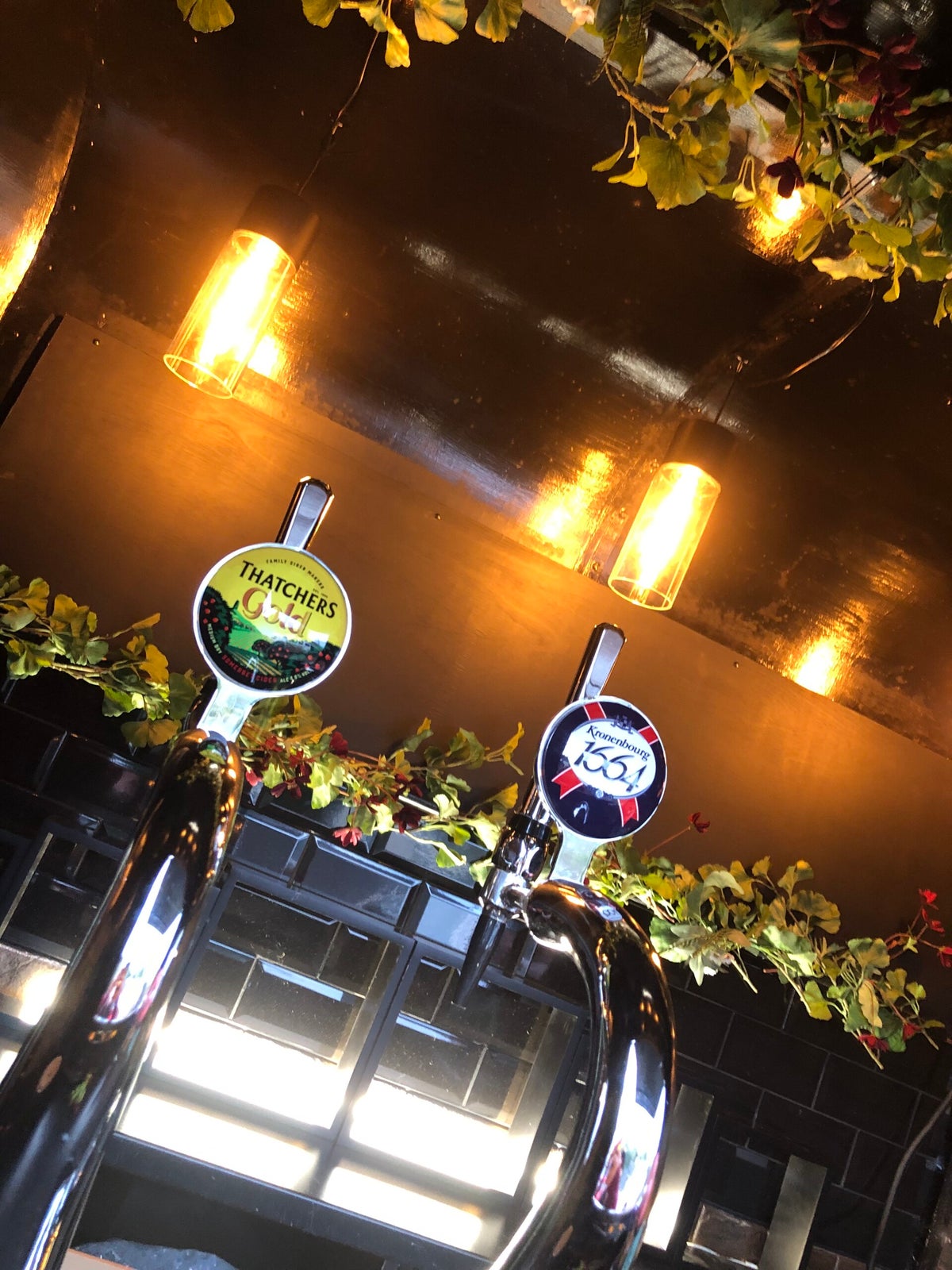 Bottoms Up Mobile Bar in Crediton