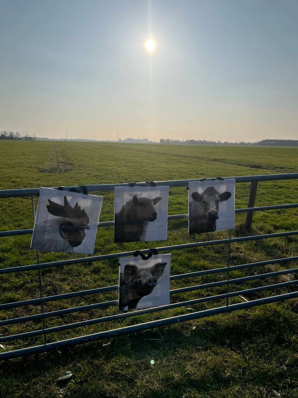 Boodschappen tassen boerderijdieren