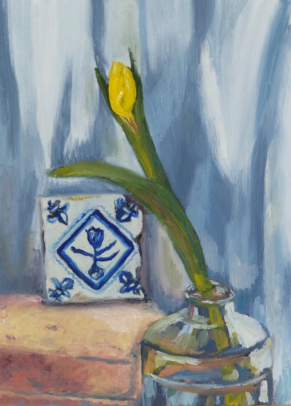 Tulp
