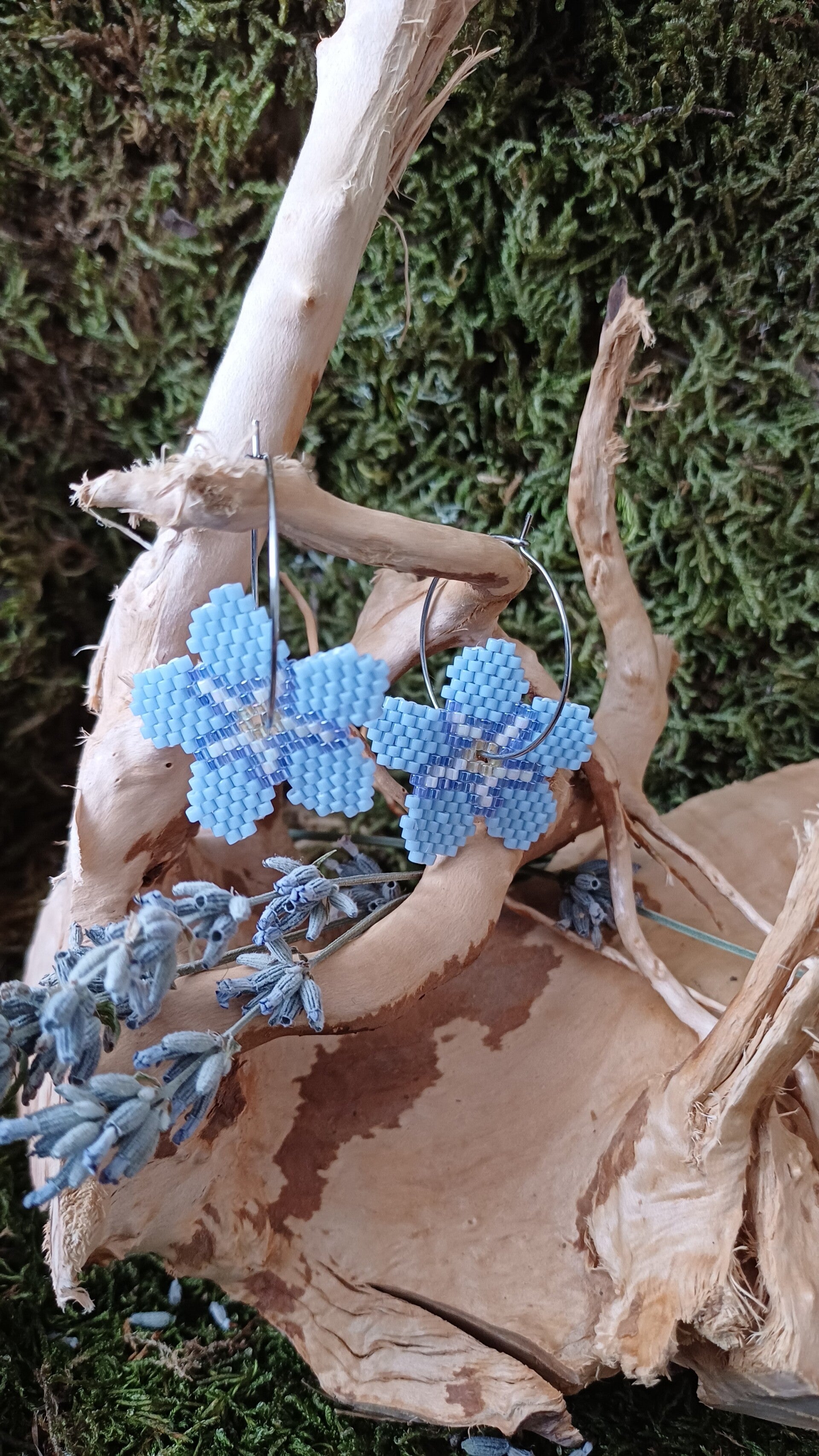 Pampilles myosotis