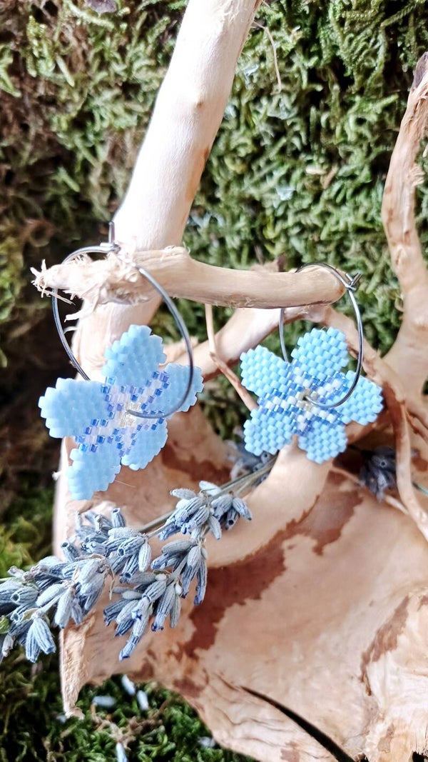Pampilles myosotis