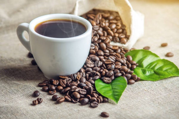 Café infusé aux plantes - Les infusion parfaite pour ton univers