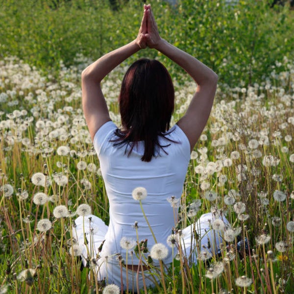 Méditation guidée avec les lapins : présence, douceur et respiration