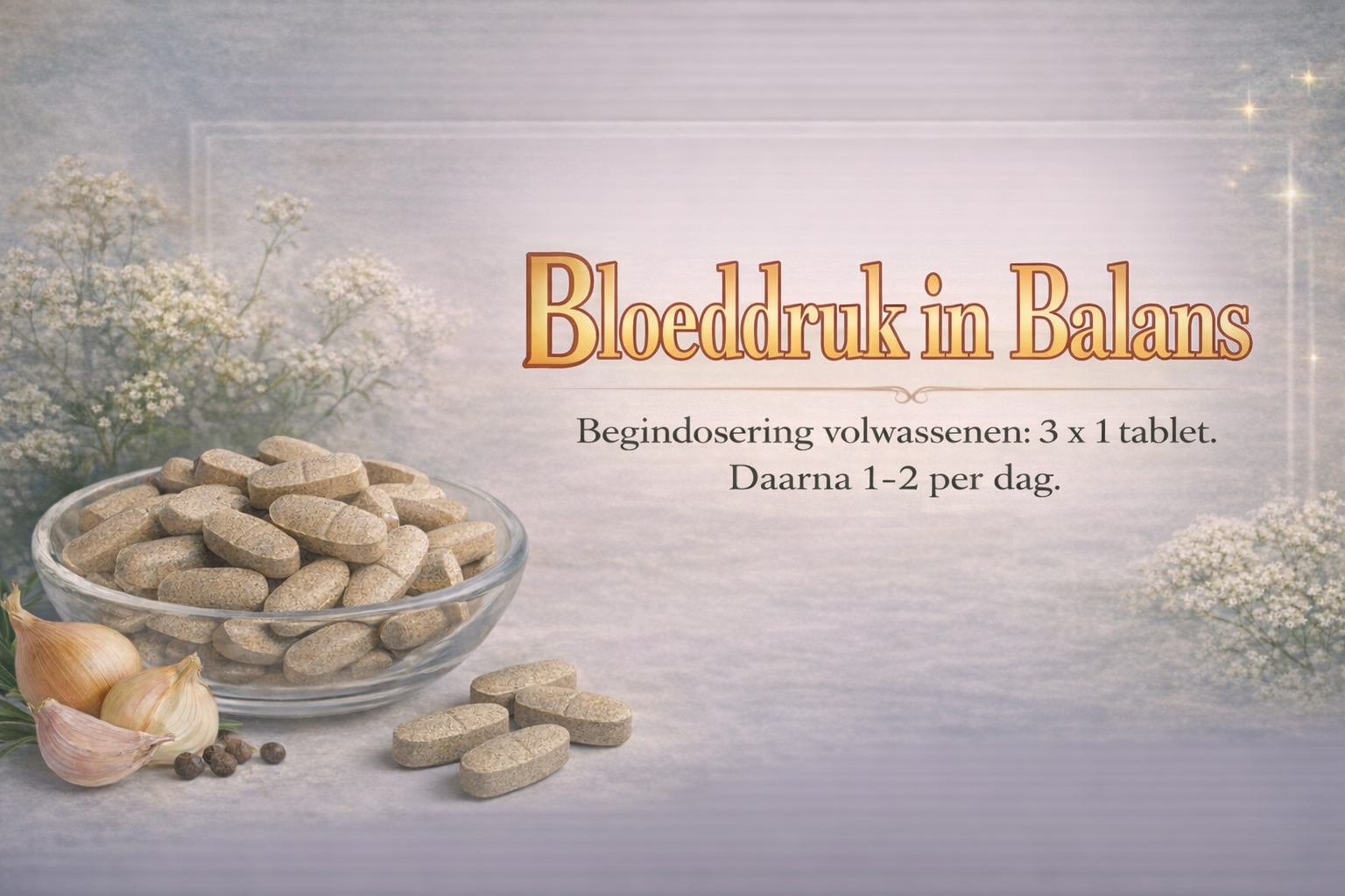 Bloeddruk in Balans