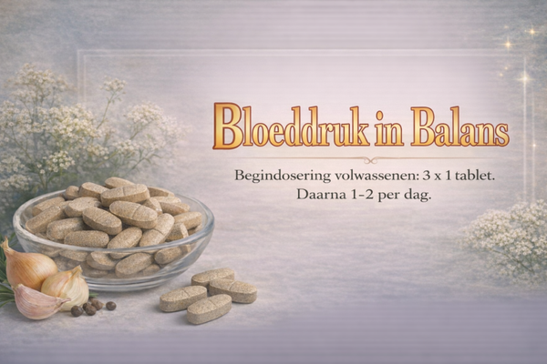 Bloeddruk in Balans