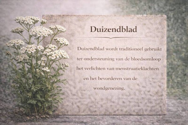 Duizendblad