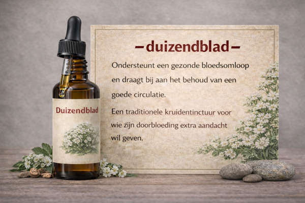 Duizendblad