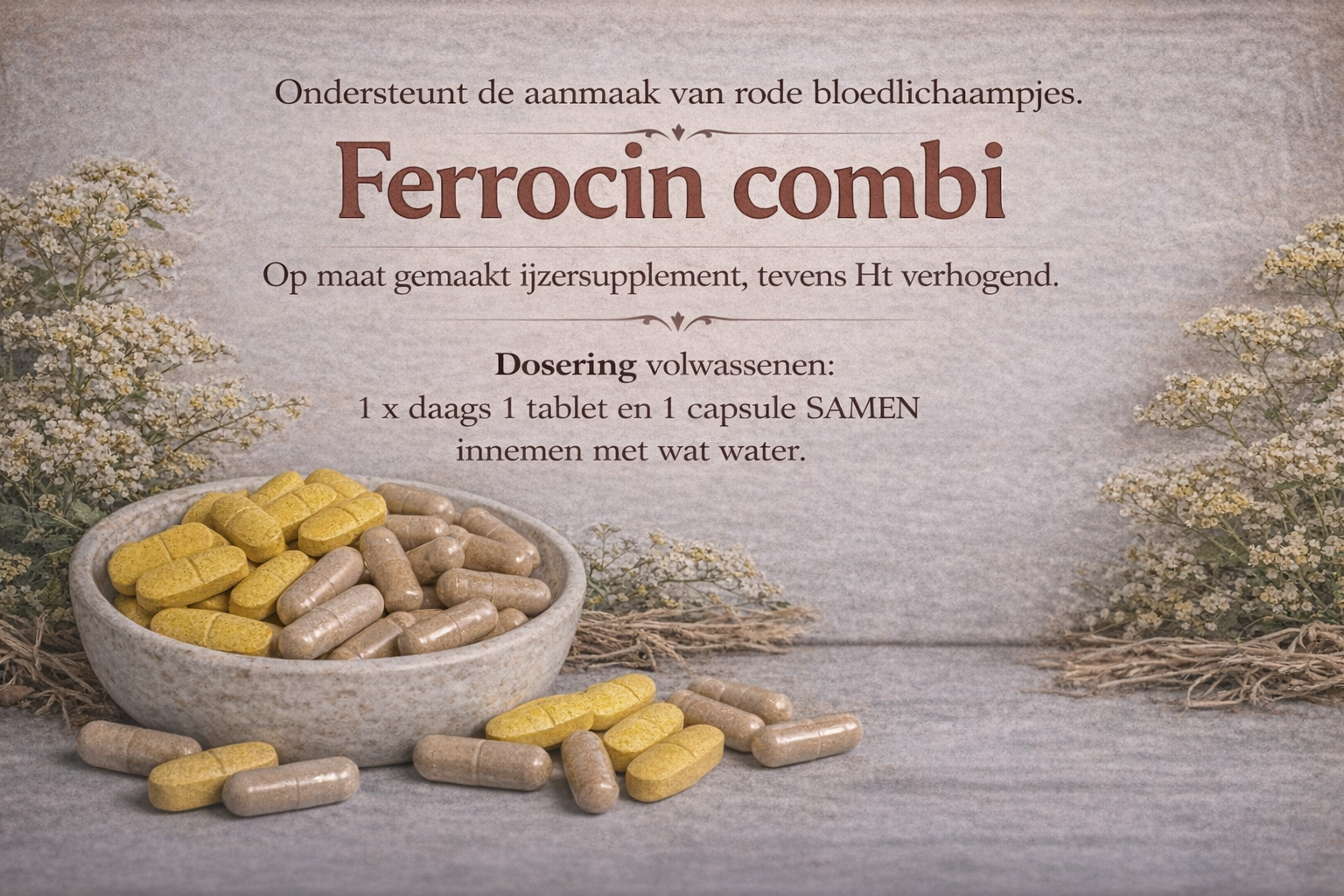 Ferrocin Combi