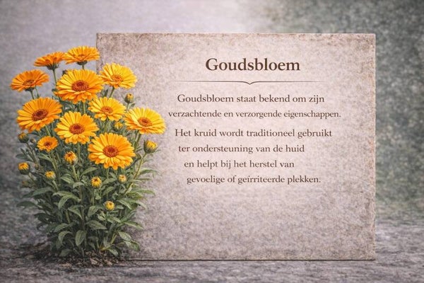 Goudsbloem