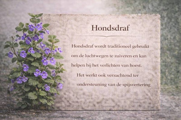 Hondsdraf