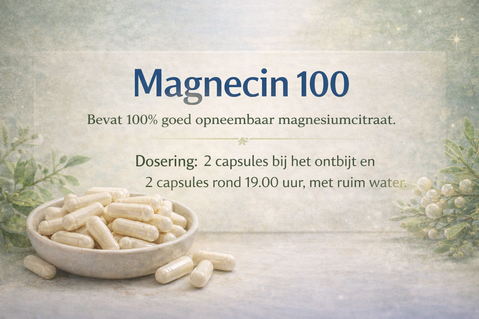 Magnecin
