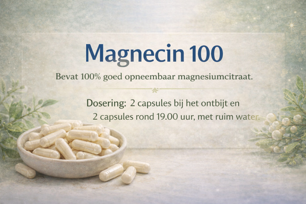Magnecin
