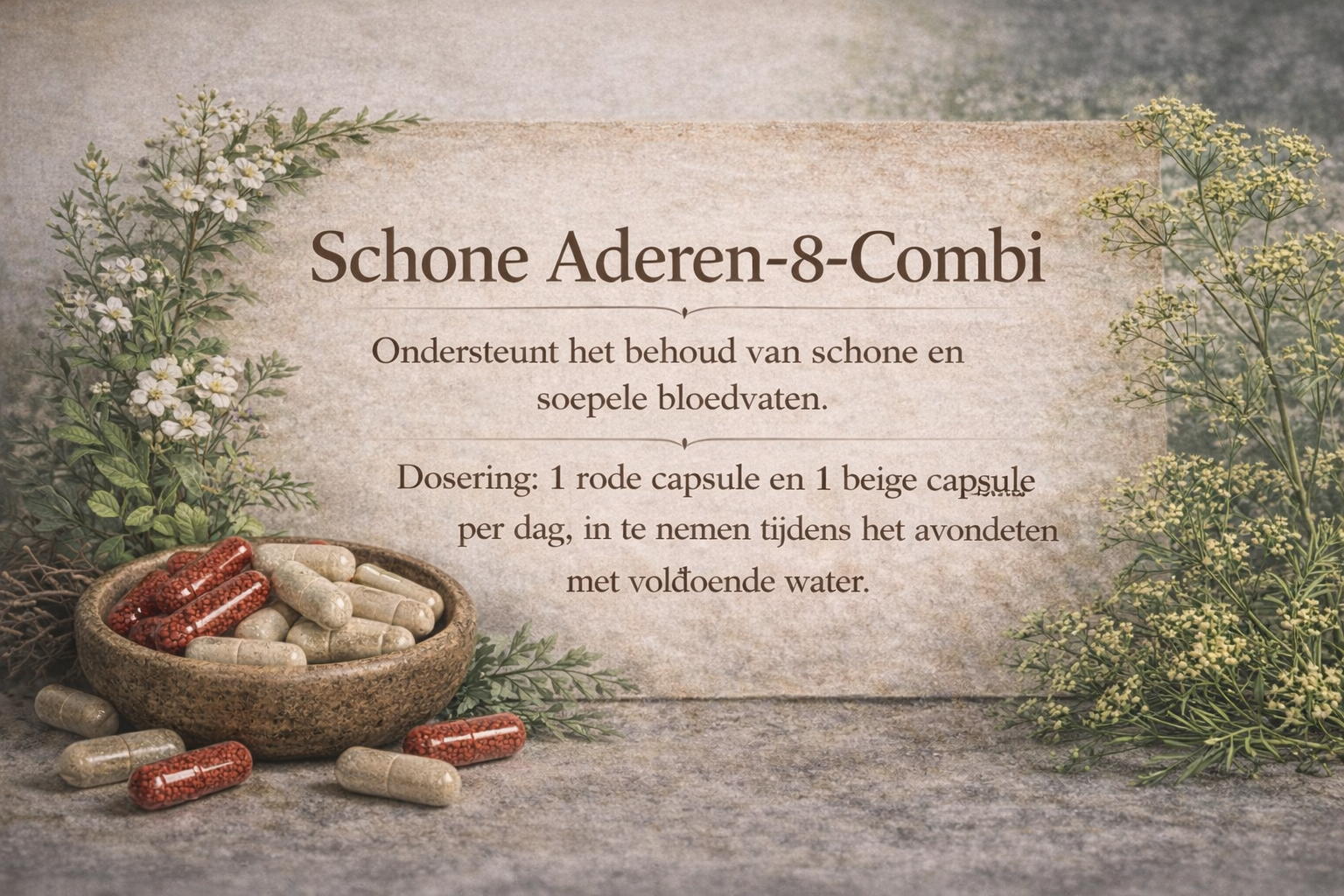 Schone Aderen 8 Combi