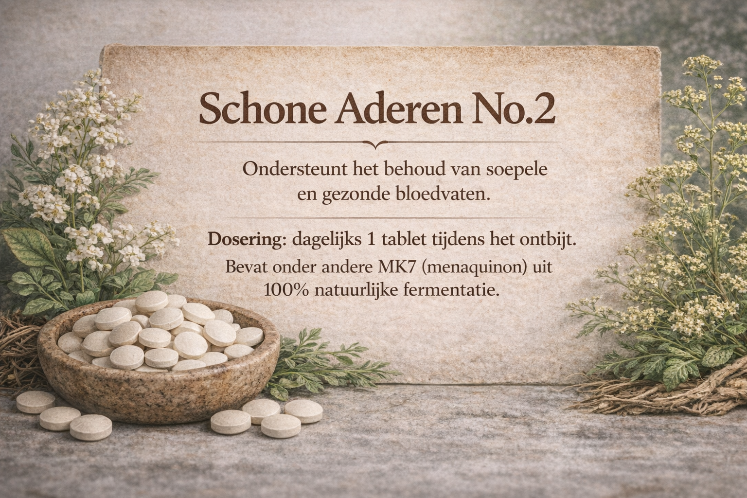 Schone Aderen 2