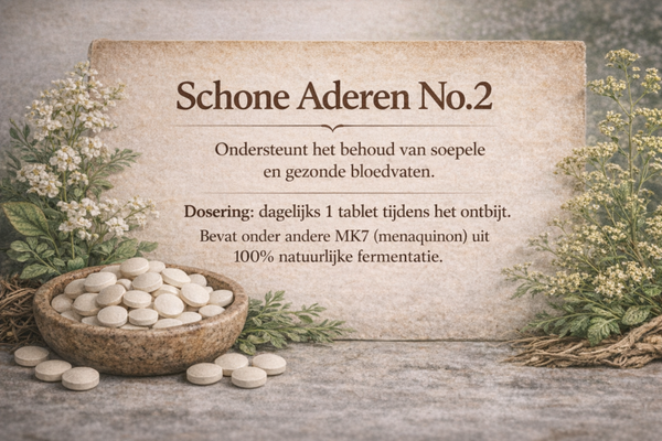 Schone Aderen 2