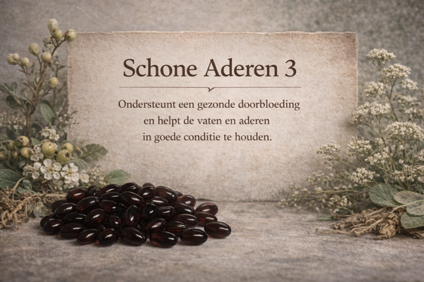 Schone Aderen 3