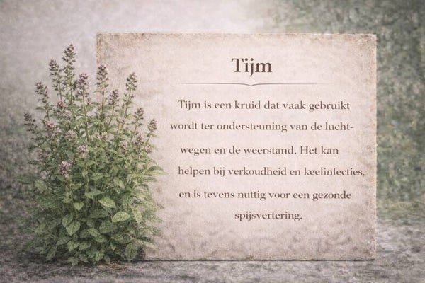 Tijm