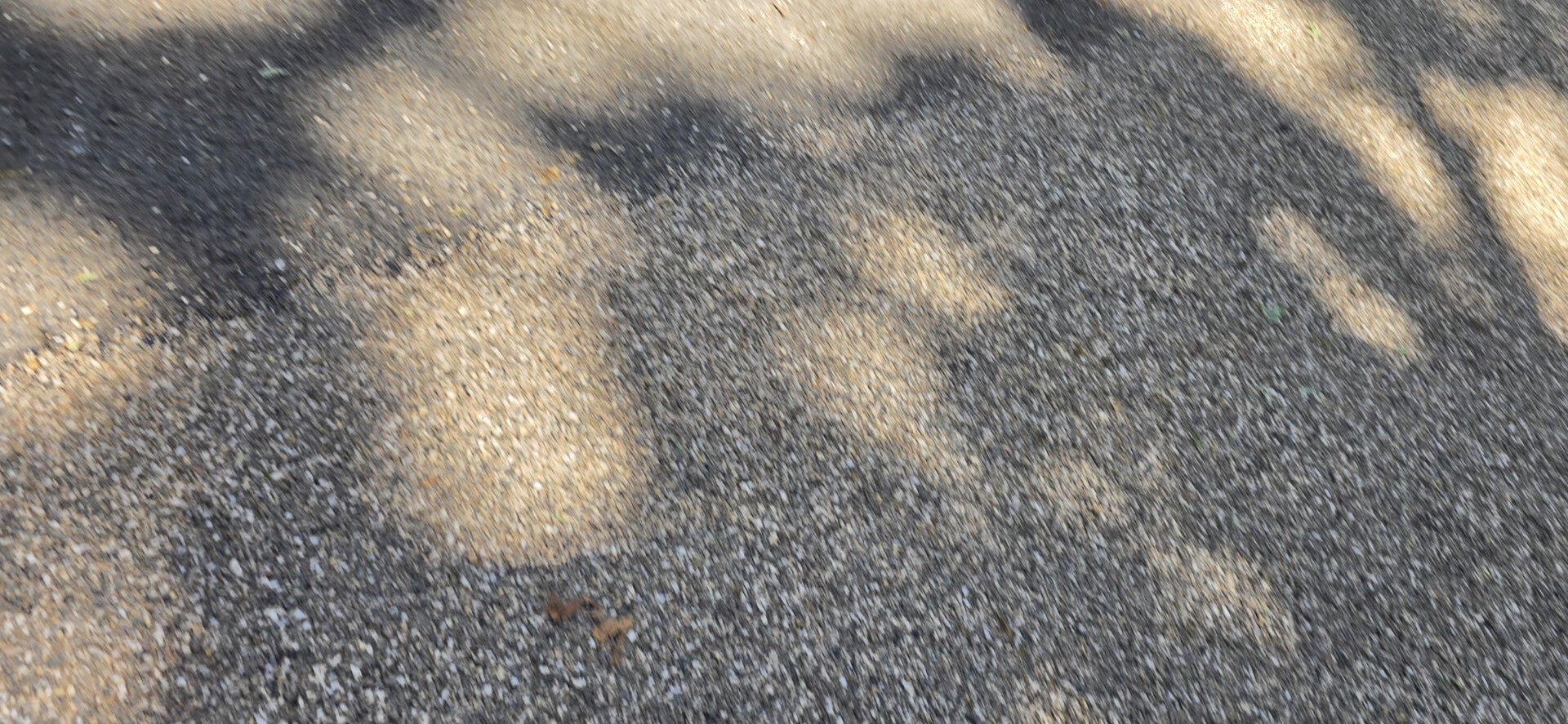 20260524_132821-standard.jpg
