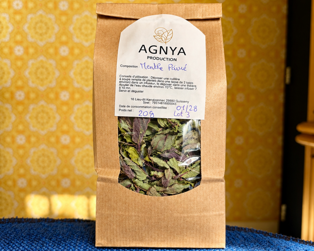 Tisane Menthe poivrée