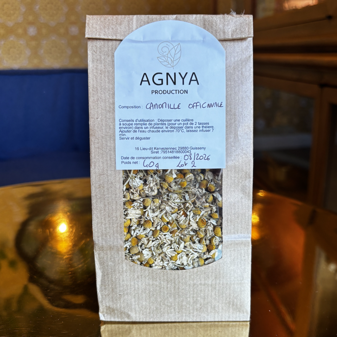 Tisane camomille officinale