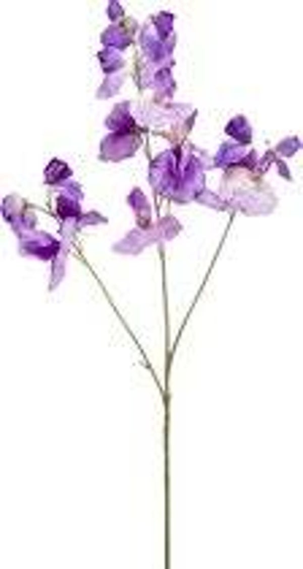 Emerald - Kunstbloem Pronkerwt 75cm paars - Kunstplant voor binnen EAN:  8714344355147
