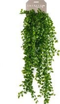 Emerald - Kunst Hangplant Ficus Pumila 80cm - Kunstplant voor binnen