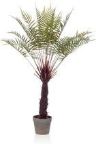 Kunstplant Boomvaren EAN:  8714344289190 Kunstplant Emerald
