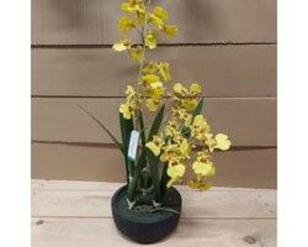 Emerald Kunstplant Orchidee Oncidium 58cm geel in pot - Kunstplanten voor binnen EAN: 8714344518771  Kunstplant Emerald