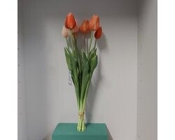 Nova Nature Classic Tulp bundel Sally x7 47cm zalm combo EAN: 8505487017487