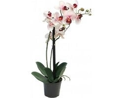 Phalaenopsis Orchidee in pot 50 cm roze kunstplant EAN:  8505455134475