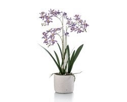 Emerald - Kunstplant Orchidee in pot 56cm paars - Kunstplant voor binnen EAN: 8714344518849